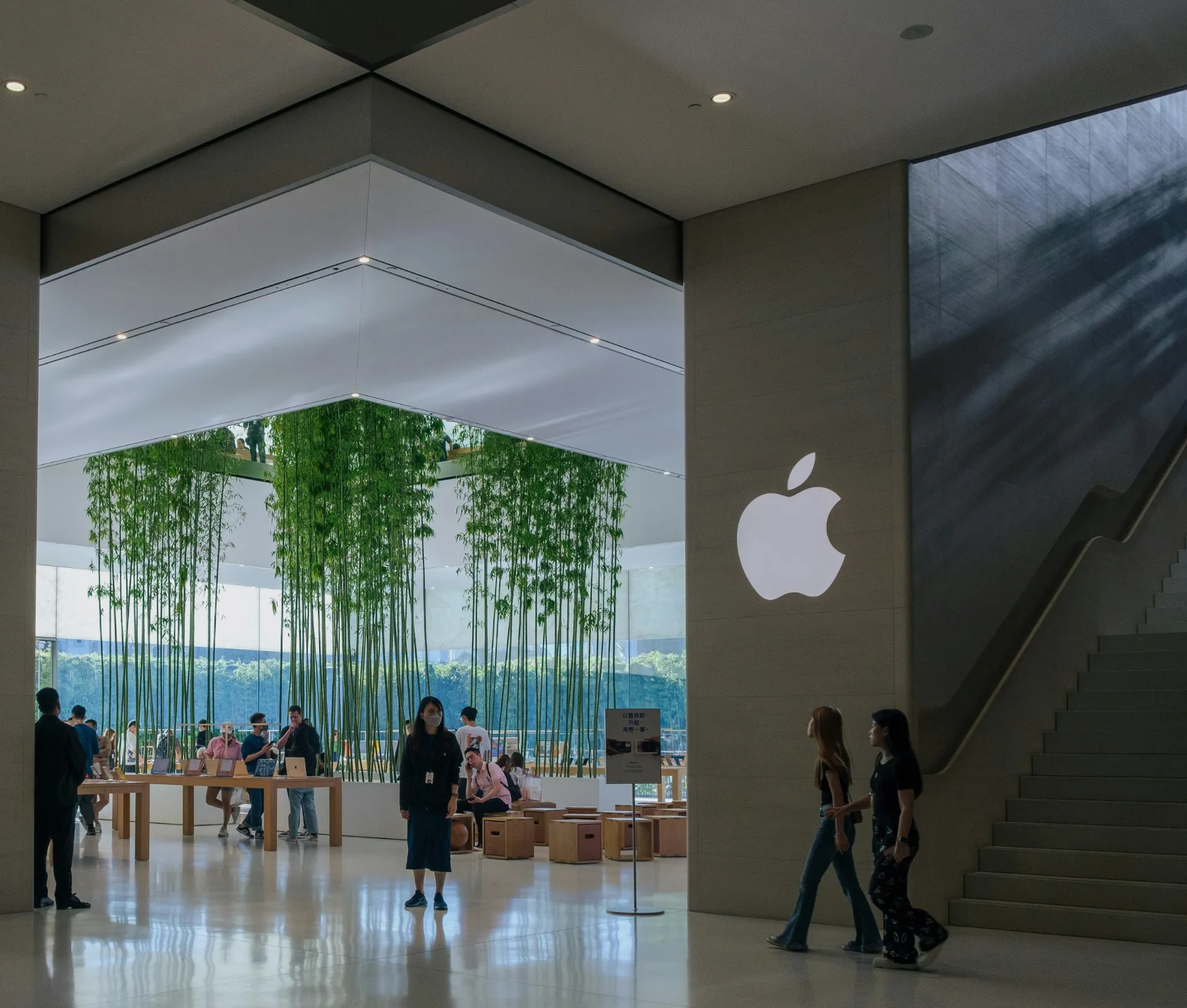 People walk inside a modern Apple Store with tall bamboo plants growing in the centre, wooden tables on the left, and the white Apple logo on a wall beside a staircase on the right.