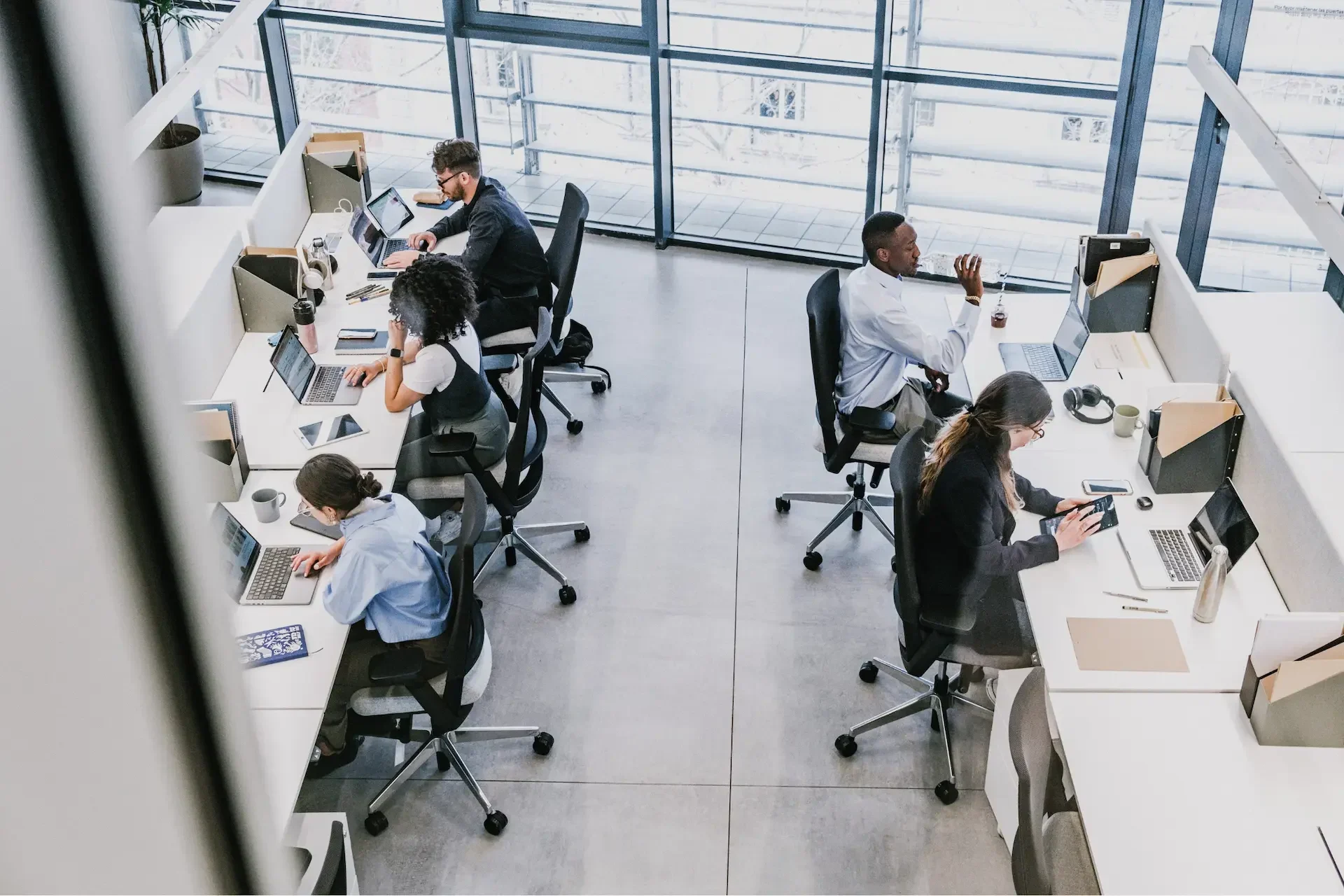 Six people from the in house tech team at dr logic work at desks in a modern open plan office, using laptops and phones, with large windows letting in natural light—ready to assist with any backup needs.