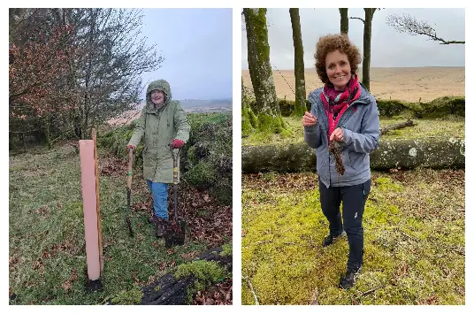 Two people outdoors highlight Corporate Social Responsibility: one, wearing a green coat, plants a tree with a pink guard; the other, in a grey jacket, smiles whilst holding a sapling—demonstrating community impact and sustainability.
